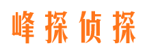 江山侦探